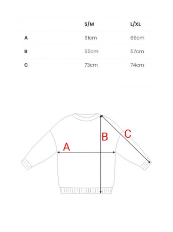 B303 Print knit sweatshirt - model 2