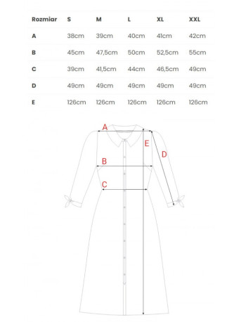 B259 Button down shirt dress - model 1